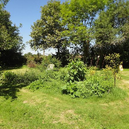 Tranquille Vienne Gites A Chirac Dept Charente Kültér fotó