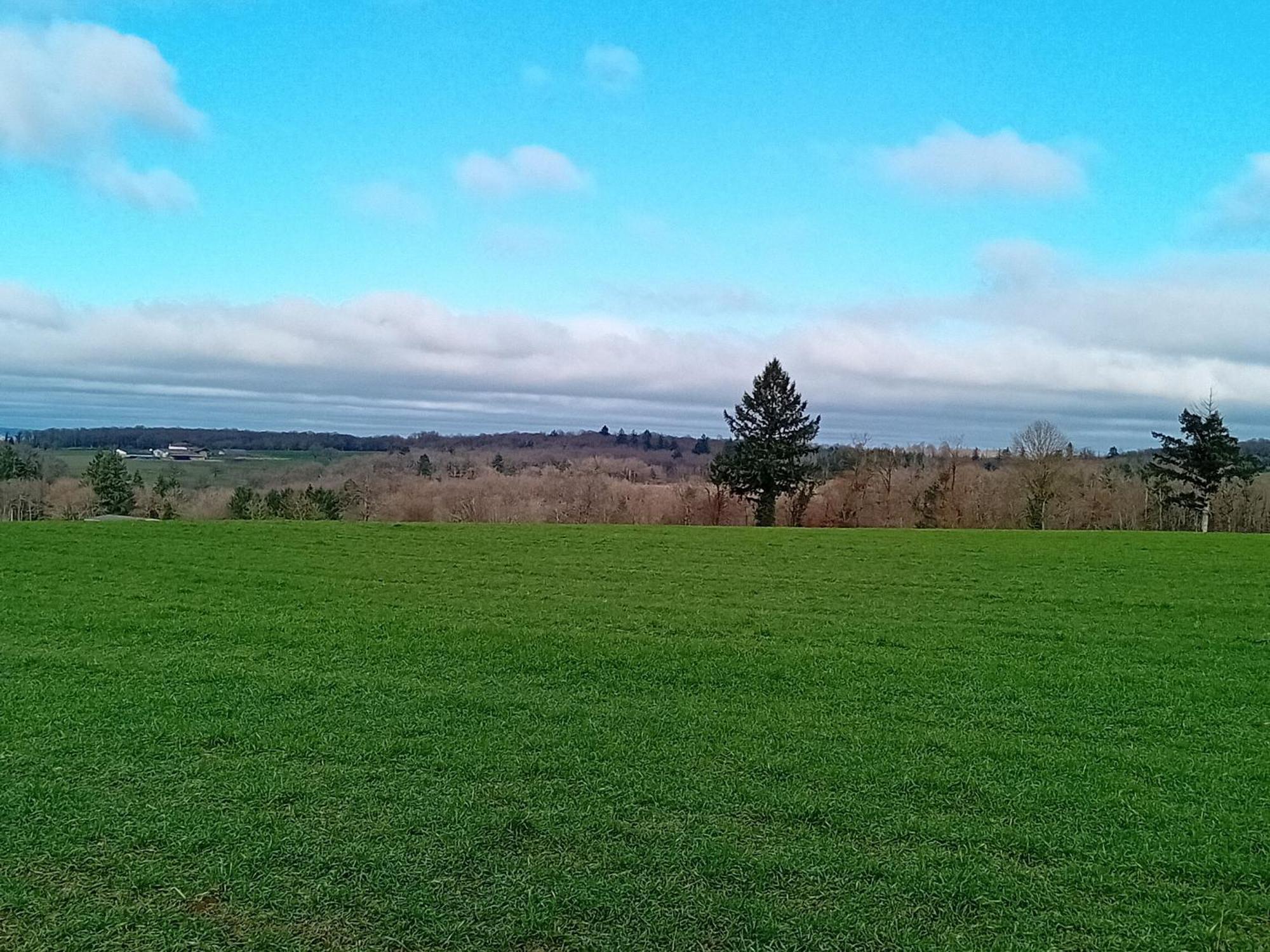 Tranquille Vienne Gites A Chirac Dept Charente Kültér fotó