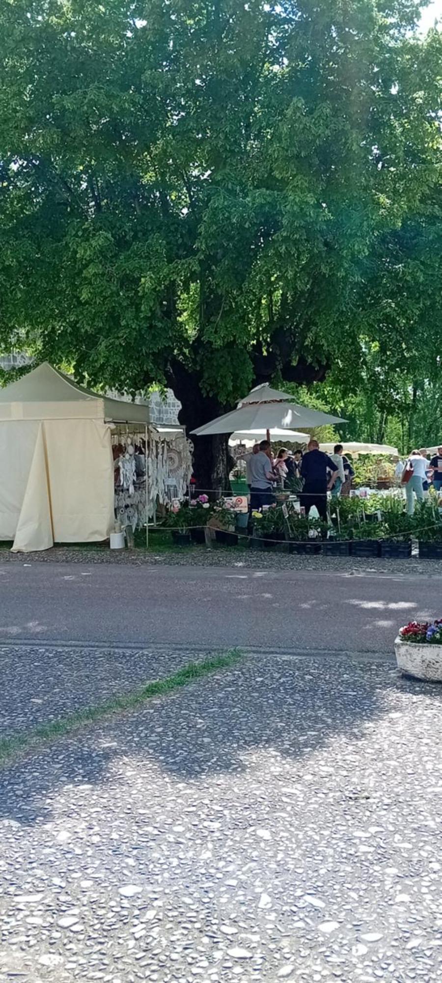 Tranquille Vienne Gites A Chirac Dept Charente Kültér fotó